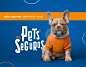 pets seguros_identidade visual