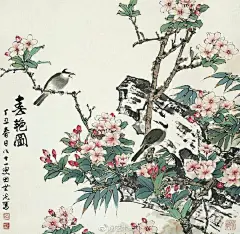 田世光工笔花鸟画欣赏——田世光（1916—1999）祖籍山东乐陵，早年拜张大千门下，为大风堂弟子之一 。后求学于京华美术学院，专攻国画花鸟，解放前在北平国立艺专任教，曾任中央美院教授。他长期从事花鸟、山水画创作，继承了宋元派双勾重彩工笔花鸟画的优良传统技法，并赋之予新的时代精神。 ​​​​