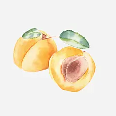 手绘桃子免抠素材_新图网 https://ixintu.com 手绘 手绘桃子 桃子 桃子图片