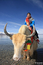 湖边全是牵着牦牛拉游客拍照的藏民，20一个人，讲到30两人，两人噼里啪啦拍了20...