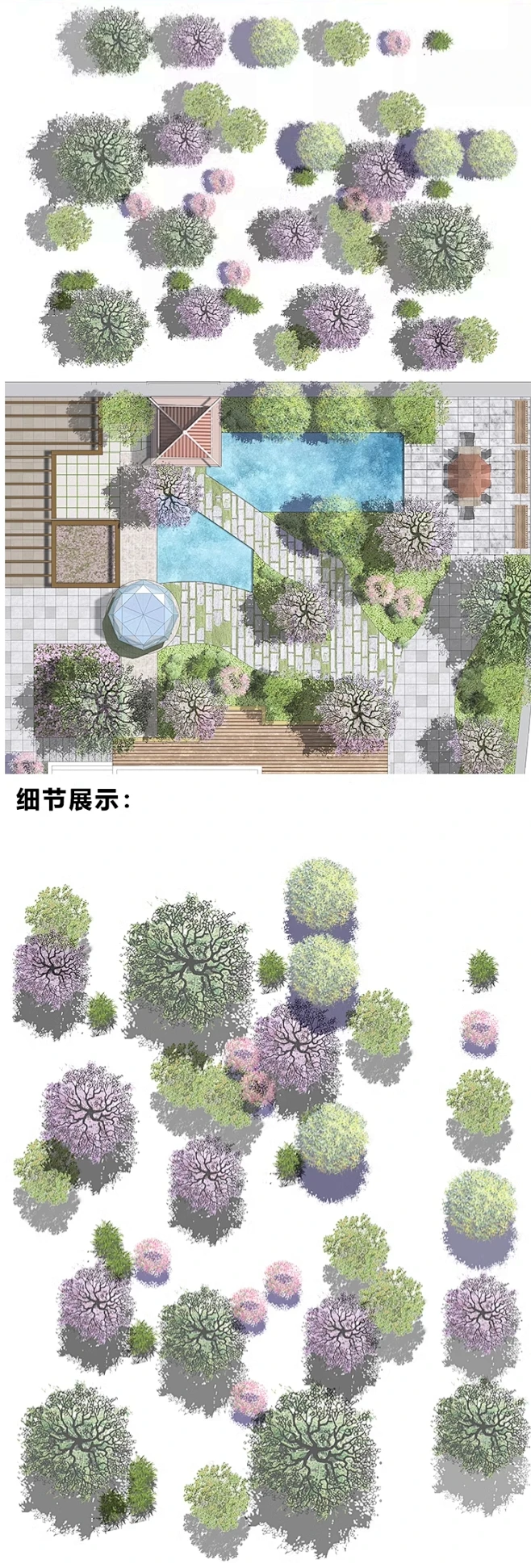 2024新免抠庭院彩平植物PS素材小清新彩平图平面植物PSD免扣素材-花瓣网
