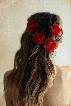 玫瑰❤