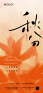 秋分