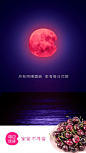 #营销观察#【听说昨天杜蕾斯的文案输给了自带流量的蓝月亮】152年一遇的#超级蓝血月#昨天刷屏社交圈。当然，这么难得一遇的机会各大品牌怎么能不蹭一蹭这波热度呢？来看一看这波借势海报谁赢了吧！ ​​​​