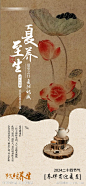 夏至养生节气海报-源文件-志设网-zs9.com