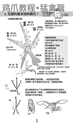 丶墨采集到教程