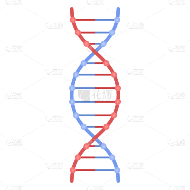 手绘-初高中课程辅导贴纸-DNA