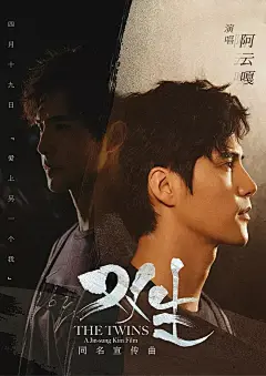 双生 海报