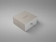 珠宝首饰礼品盒子包装外观展示效果VI智能贴图 PS分层模板样机 (11)
