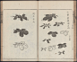 #兰斋画谱# 中关于菊花与梅花的画法。
兰斋画谱又名：南苹先生画传，由日本画家熊代熊斐的弟子森文祥子祯编，于公元1782年出版。这是一套类似芥子园画传的绘画技法图谱，其绘画法大致为清代画家沈南苹传授。
其教法简单明了，颇有现代绘画教学的气息。 ​​​​
