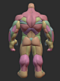 Hulky Anatomy Blockout