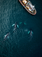 Whales from above, 2017 : From my second visit to Iceland in 2017, my third in total, where I had the unique opportunity to not only take part in a whale watching tour in northern Iceland but to also start and operate my drone from aboard the vessel as th