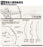 【汉化】【点开大图】【教程】【冷兵器-弓箭】一些关于弓的构成、功能、以及画法建议。（via：greytaliesin）[注意：5P&6P并不是拉满弦的状态，拉弦时，持弓的手臂应该是直的] 图片打包下载：@微盘 http://t.cn/8sazm7w