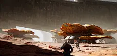 2022.7.29