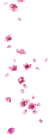 花瓣