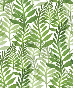 植物和蕨类植物的无缝纹理。