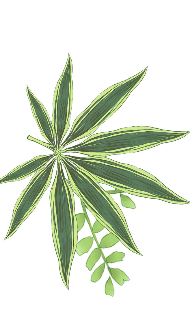 [ 乐分享 ] PNG高清免植物