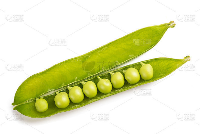 在荚豌豆