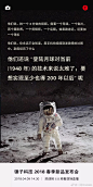 锤子科技发布会海报9