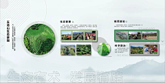 巴克福基采集到B平面-排版