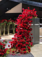 杭州的限定浪漫展览520超美玫瑰花瀑布‼️