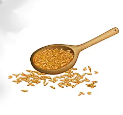 农村插画手绘木勺谷子谷粒粮食大米包装元素插画