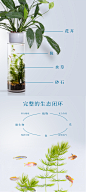 【电商情报室——牛卖点】卖设计的鱼缸，利用微生物、植物、鱼、光之间微妙的生态系统，把鱼粪、残渣分解、吸收，化成各自需求的养分，补充各自的能量，呈现出美的姿态。 花盆采用物理学原理设计与生态系统相融合，相得益彰，整体设计更贴合人们的生活习惯。
