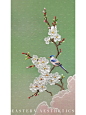 东方美学|花间粉羽 - 小红书