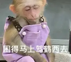 吗喽表情包上班发疯版哈哈哈哈 - 小红书