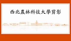 西北农林科技大学剪影
