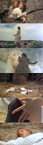 《悬崖下的野餐  Picnic at Hanging Rock》 ​​​​