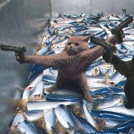 一组情侣头像够沙雕67676767