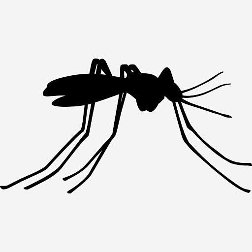 蚊虫的侧视图图标
