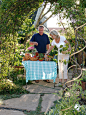 Santa Barbara: Cottage Garden : Cottage garden, curb apeal, edible garden, front yard, kitchen garden, picking garden, vegetable pots, veggie garden, veggie pots, 