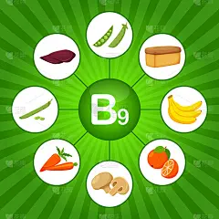 广场海报，食品含有维生素B9。叶酸。医学，饮食，健康饮食，信息图表。平坦的卡通食物元素在明亮的绿色背