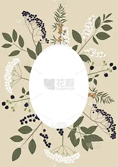 矢量颜色手绘椭圆森林浆果框架。平面插图的树枝与树叶，花和浆果。