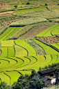 【HD】丽江悦榕庄 Banyan Tree Lijiang 官方高清摄影 ..._MT-BBS|马蹄网-trekattractions lijiang scenery 2.jpg