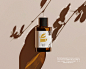 beauty brand identity branding  creative digital illustration logo Logo Design modern Packaging vector