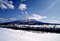 雪之梦、