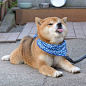 来自相册