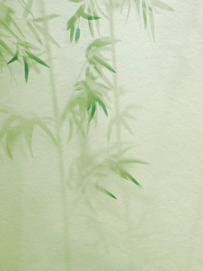 竹影成画 - 小红书