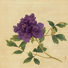 橘叁采集到白描