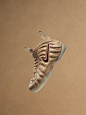 Nike Sportswear: 5 Decades of Basketball Air Foamposite Pro