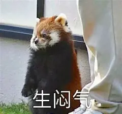 我不信表情包 - 搜索