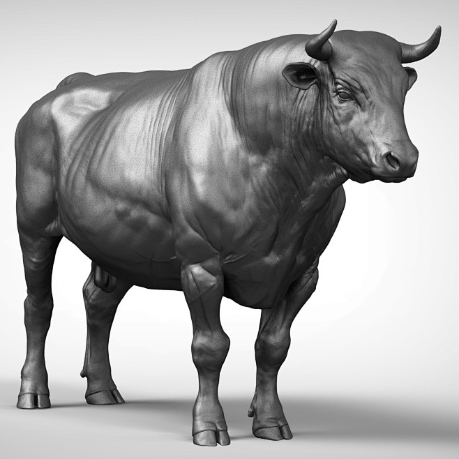 bull