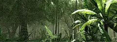 绿色,环保,森林,淘宝天猫夏季服装海报,海报banner,摄影,风景图库,png图片,网,图片素材,背景素材,16064@北坤人素材