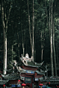 青城山