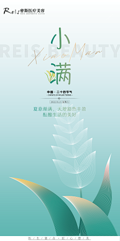 用户yIZjD9WG采集到二十四节气海报