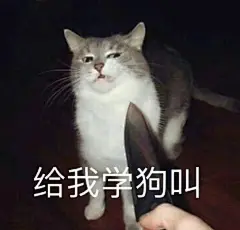 猫猫表情包｜胖罐子胖摔_12