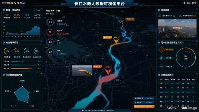 2020年终总结数据可视化设计